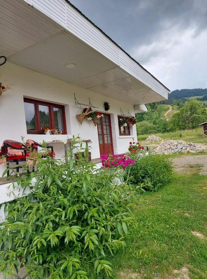 Casa Rodica Apartamento Vatra Dornei Exterior foto