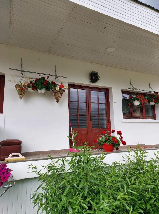 Casa Rodica Apartamento Vatra Dornei Exterior foto