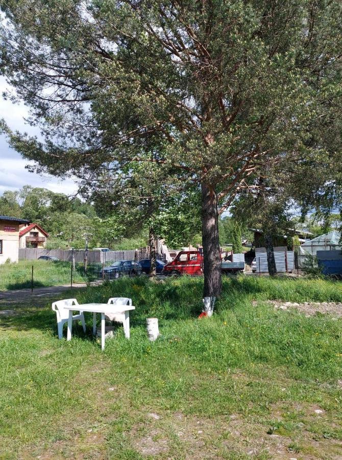 Casa Rodica Apartamento Vatra Dornei Exterior foto