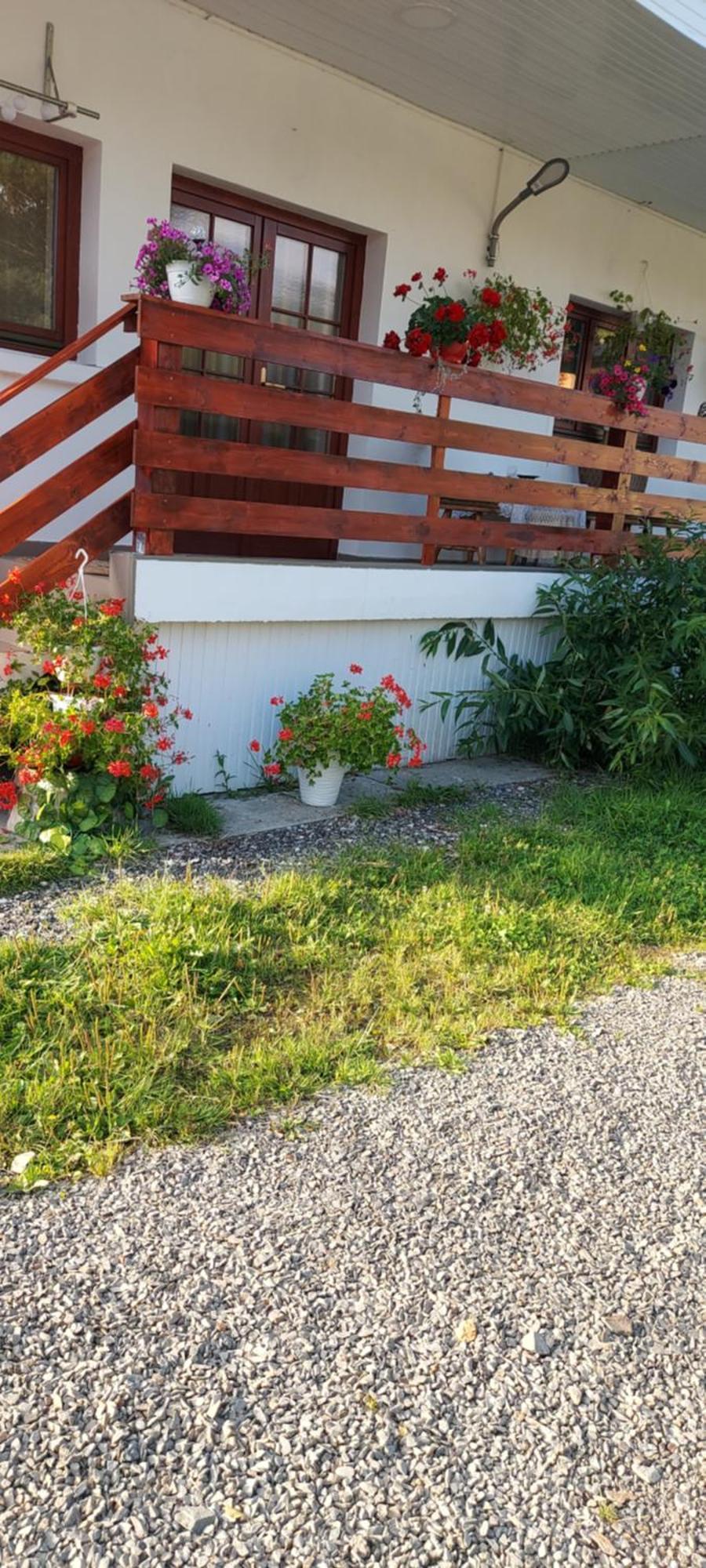 Casa Rodica Apartamento Vatra Dornei Exterior foto